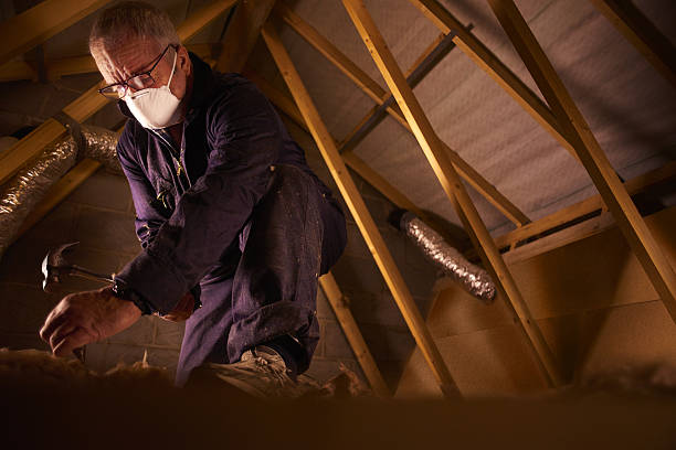 Best Spray Foam Insulation in Jarales, NM